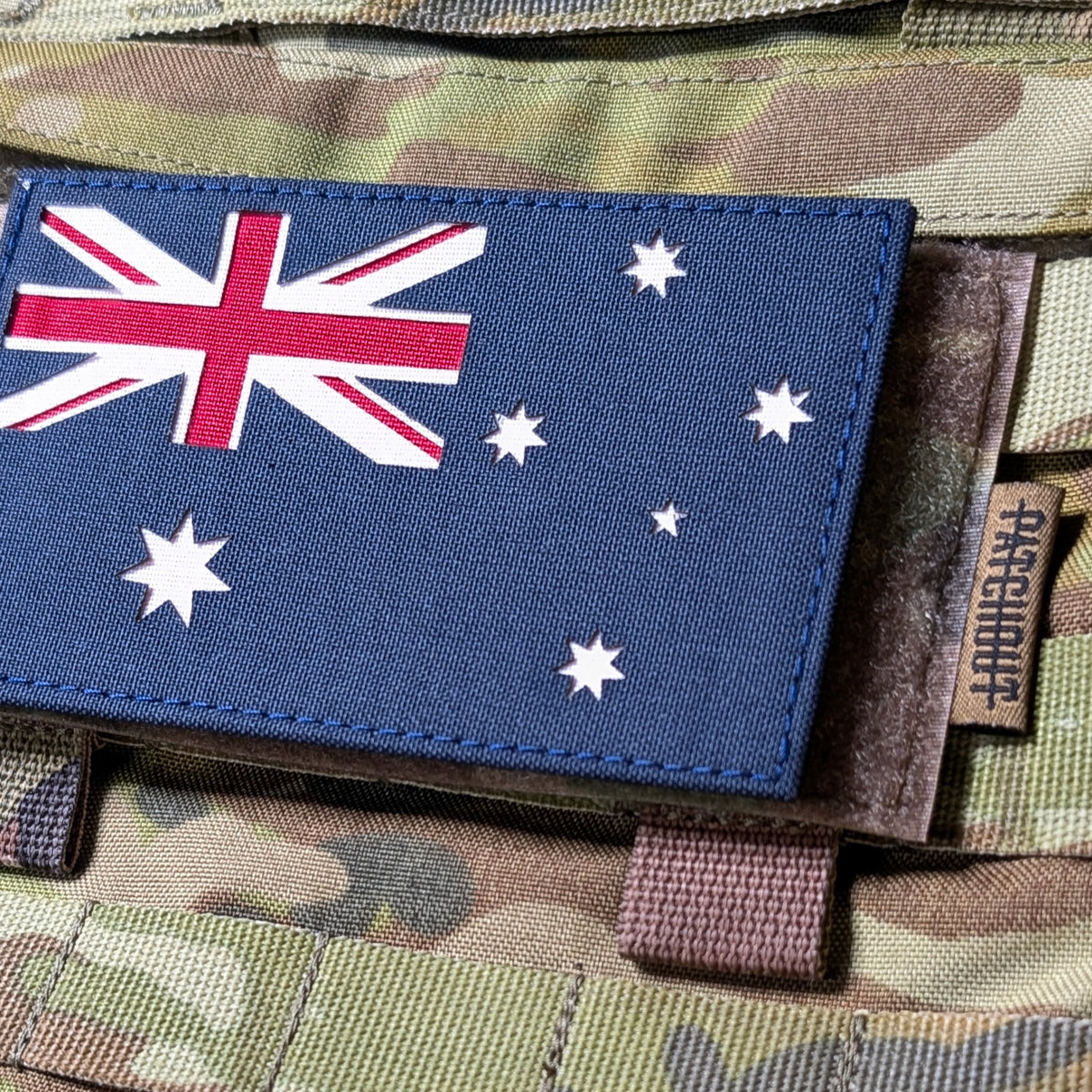 Patch loop panel for plate carrier